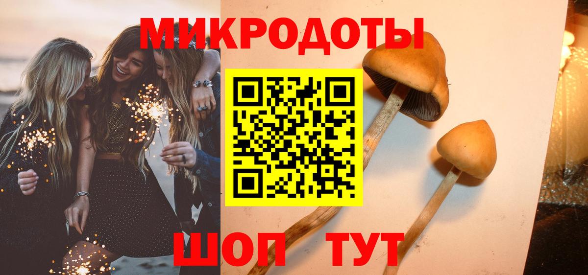 Галлюциногенные грибы Magic Shrooms Дербент